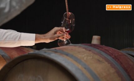 Vino, prezzi in calo ma costi alle stelle per le cantine