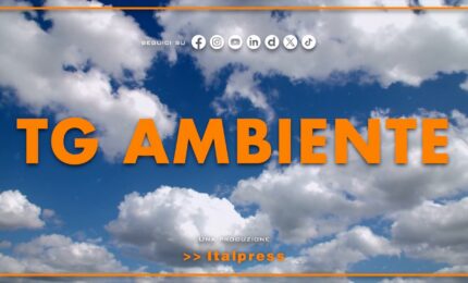 Tg Ambiente - 4/10/2026