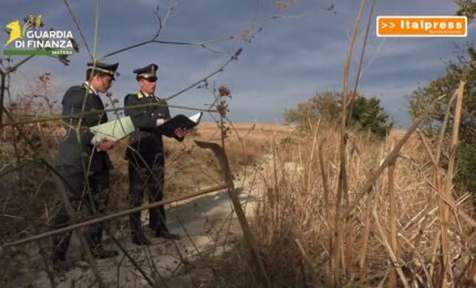 Truffa su fondi Ue per agricoltura a Matera, scoperti illeciti per 550mila euro
