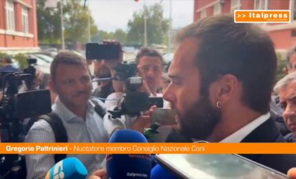 Figc, Paltrinieri "Vicenda molto sottile,Malag&ograve; ha dimostrato di saper lavorare"